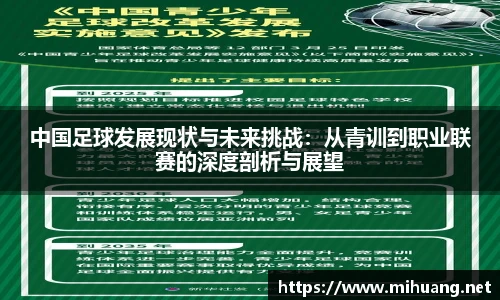 IM电竞官网