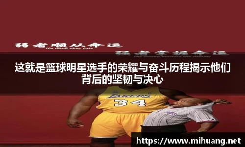IM电竞官网
