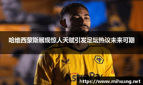 IM电竞官网